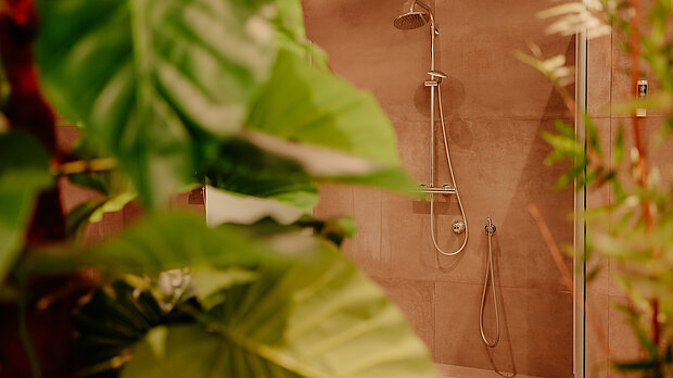 Duschen im Wellnessbereich des Stadthotel Borken by Hackmann, umgeben von Pflanzen
