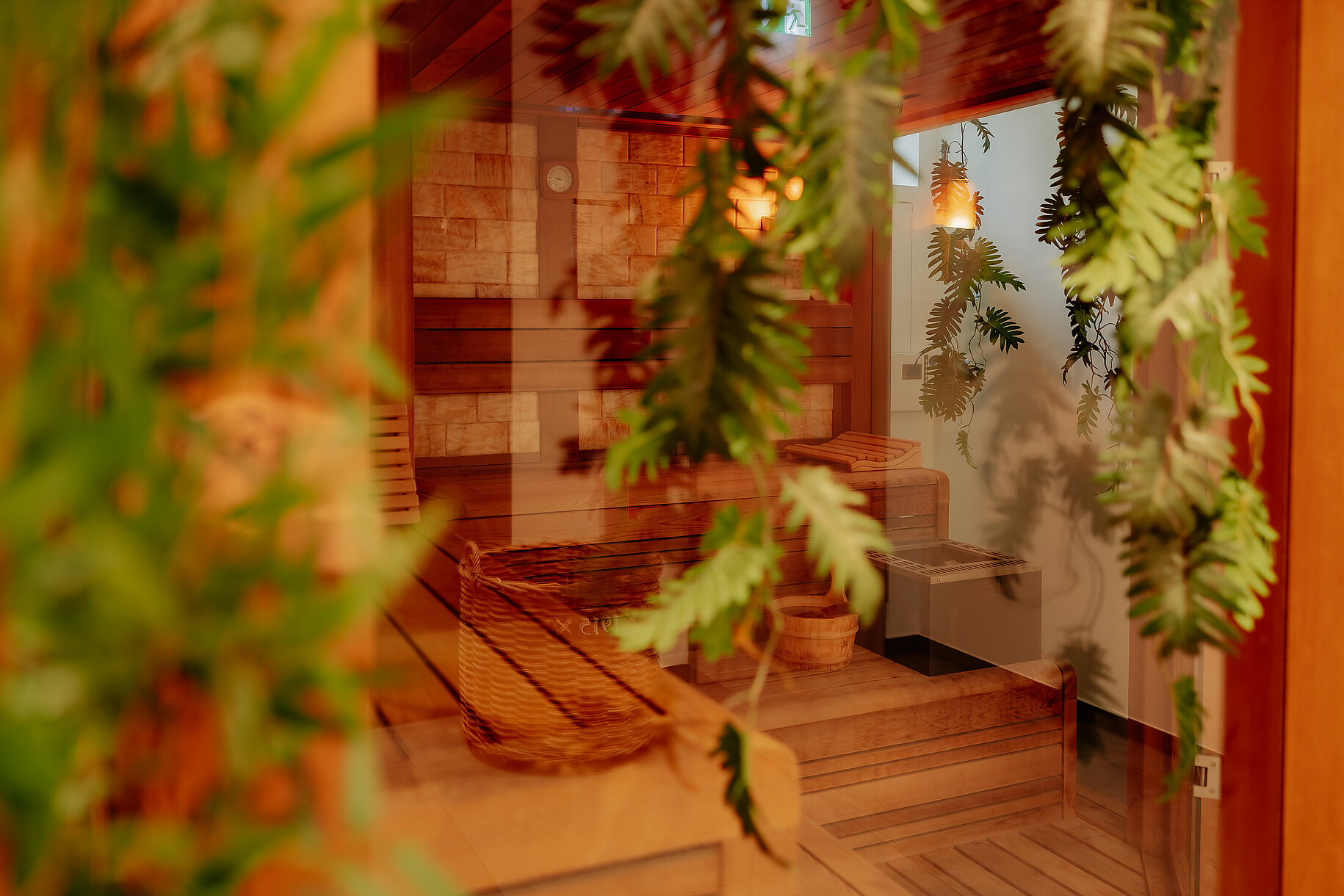 Blick in die finnische Sauna im Wellnessbereich des Stadthotels Borken by Hackmann