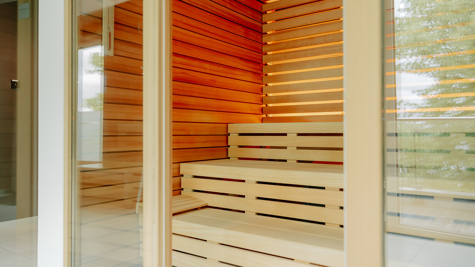 Blick durch die Tür in eine Sauna mit klarer Holzstruktur