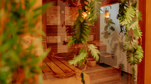 Blick in die finnische Sauna im Wellnessbereich des Stadthotels Borken by Hackmann