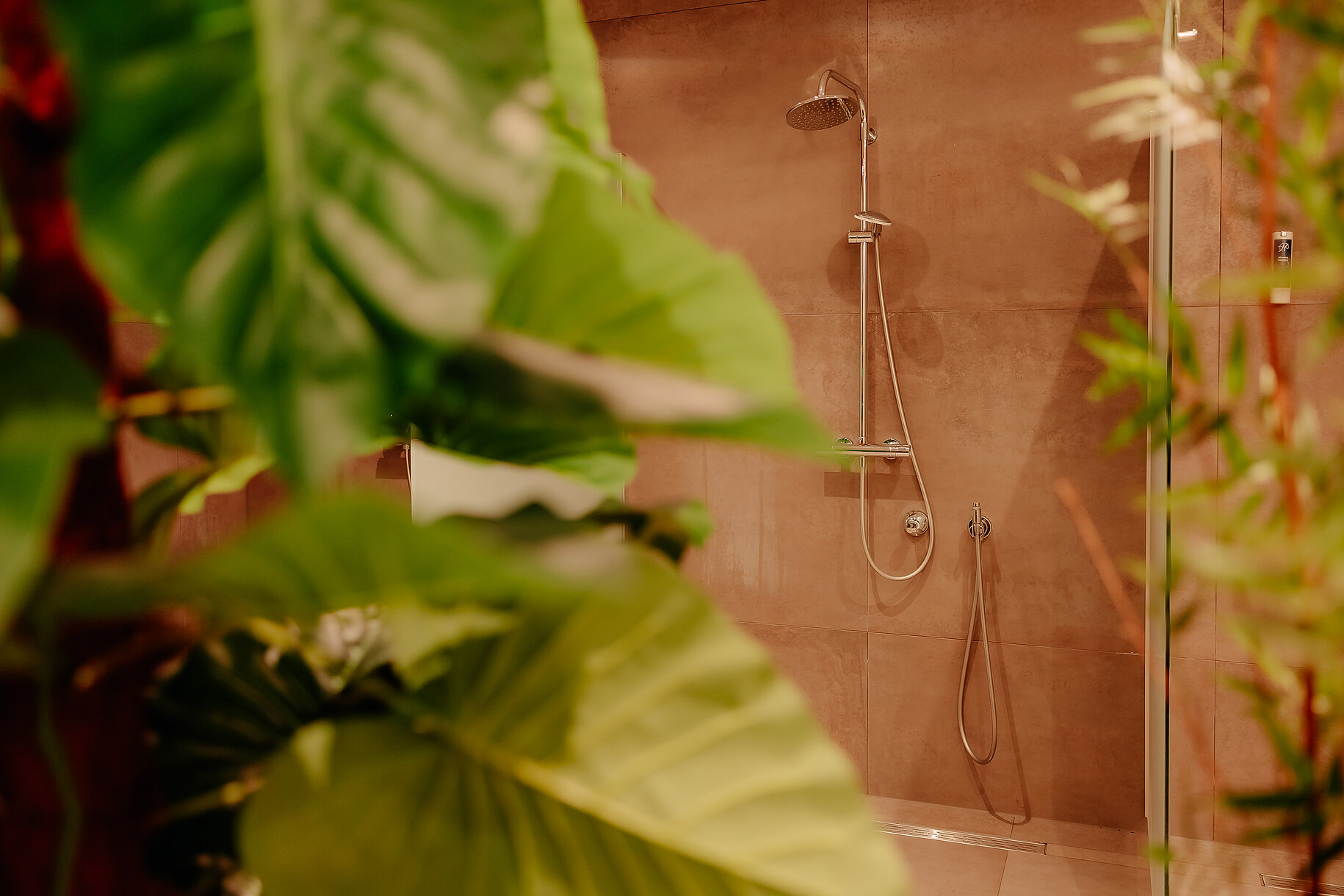 Duschen im Wellnessbereich des Stadthotel Borken by Hackmann, umgeben von Pflanzen